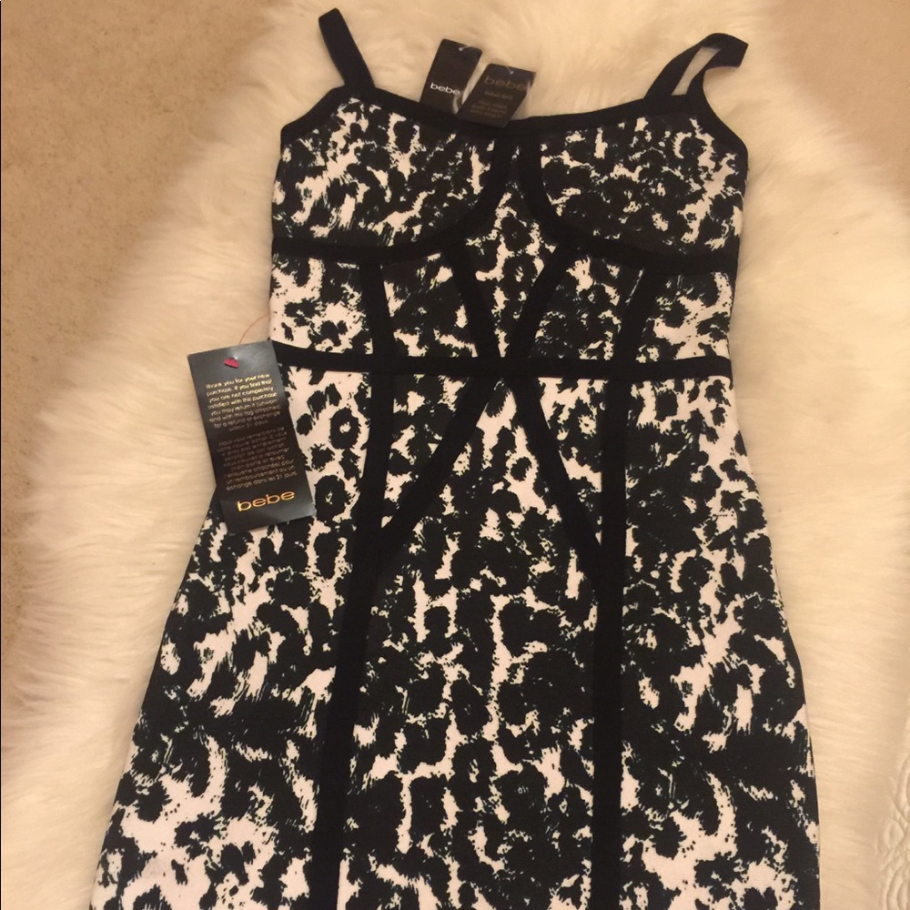 Leopard Print Alpine Cat Corset Dress